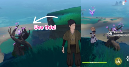 Genshin - Use the Thunder Spheres to avoid detection