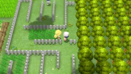 Pokemon BDSP Wormadam Pokedex Entry Location