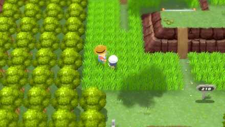 Pokemon BDSP Aipom Pokedex Entry Location