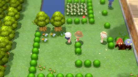 Pokemon BDSP Chatot Pokedex Entry Location