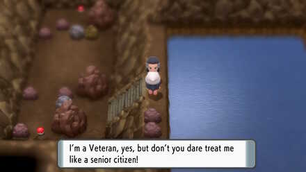 Pokemon BDSP Riolu Pokedex Entry Location