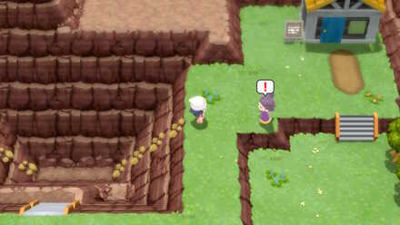 Pokemon BDSP Rock Climb Route 210