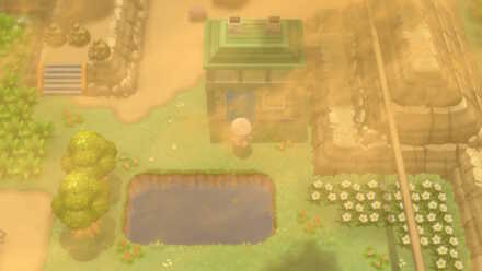 Pokemon BDSP Move Tutor Route 228