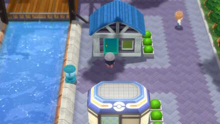 Pokemon BDSP Canalave City Move Tutor