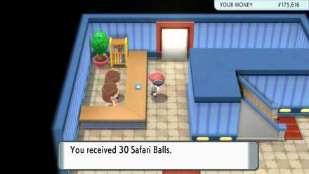 Safari Ball.jpg