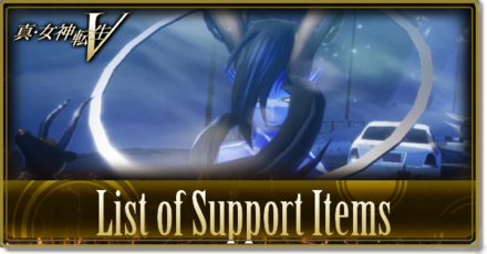 Support Items Banner.png