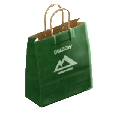 The Green version of Sturdy Paper Bag