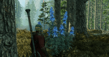 New World - bluefiber