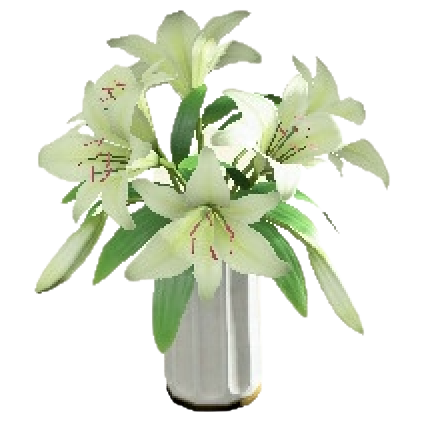 Casablanca Lilies Image