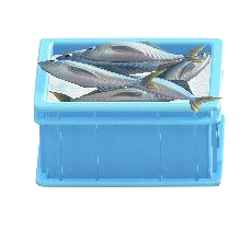 Fish Container Image