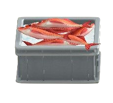 The Gray version of Fish Container