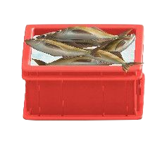 The Red version of Fish Container