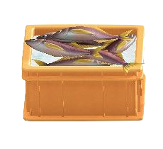 The Orange version of Fish Container