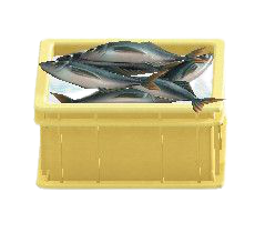 The Yellow version of Fish Container