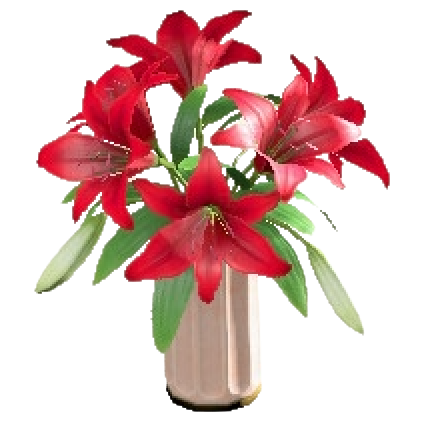 The Red version of Casablanca Lilies