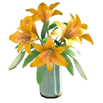 The Yellow version of Casablanca Lilies