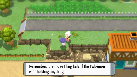 Fling.png