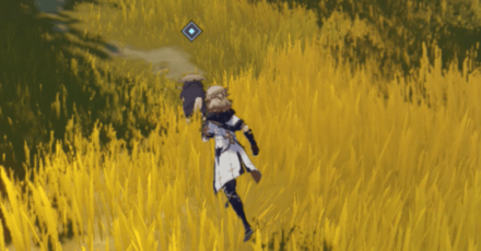 Genshin - Follow the strange dog