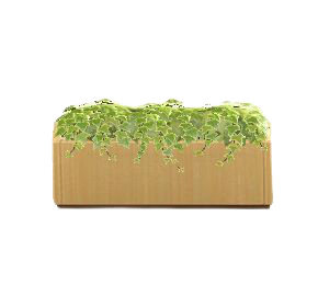 The Light Wood version of Plant Partition