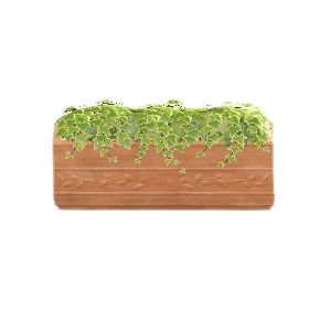 The Terra-Cotta version of Plant Partition