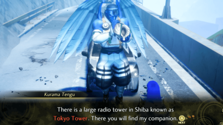 The Destined Leader 1