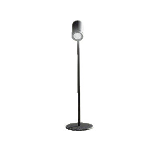 The Black version of Stylish Spotlight