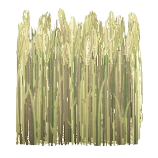The Pale Green version of Wheat Field