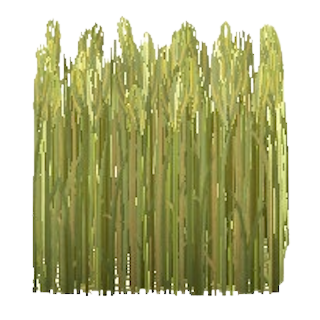 The Green version of Wheat Field
