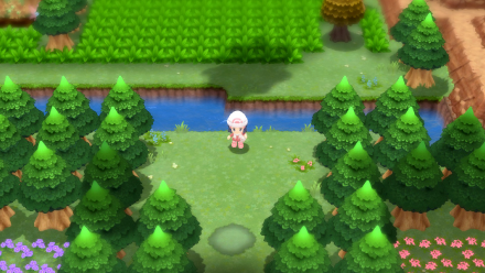 Floaroma Meadow Entrance from Fuego Ironworks.png