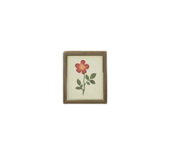 The Brown version of Framed Photo