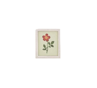 The White version of Framed Photo