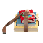 The Brown version of Strapped Books