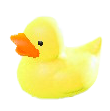 Toy Duck Image