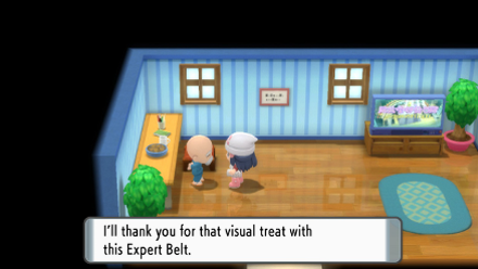 Expert Belt.png