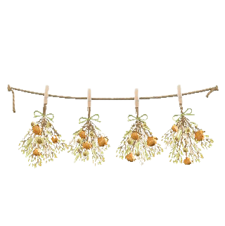 Dried-Flower Garland Image