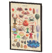 Framed Sea-Creature Poster Image