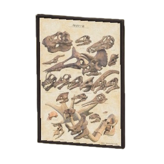 Framed Fossil Poster Image