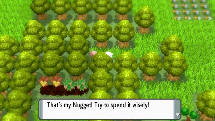 Nugget Route 229.png