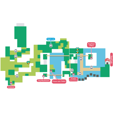 Route 212 South 1 Pokemon BDSP