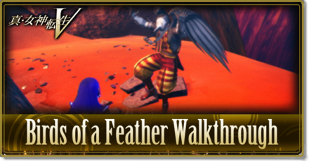 SMTV Birds of a Feather