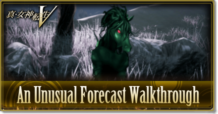 SMTV An Unusual Forecast