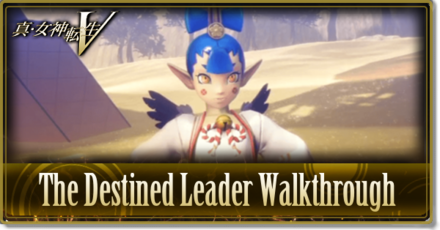 SMTV The Destined Leader