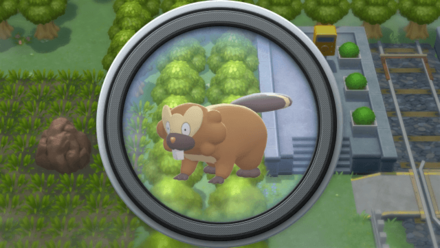 Pokemon BDSP Area 1 Background 2