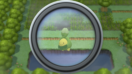 Pokemon BDSP Area 1 Background 5