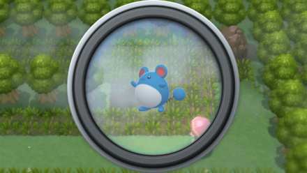 Pokemon BDSP Area 2 Background 5