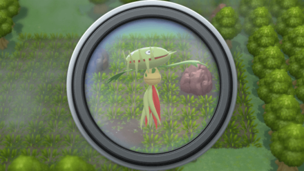 Pokemon BDSP Area 5 Background 6