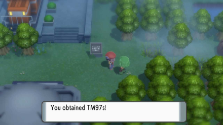 Pokemon BDSP Getting Defog from Great Marsh