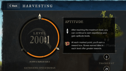 New World - Progression Beyond Level 200