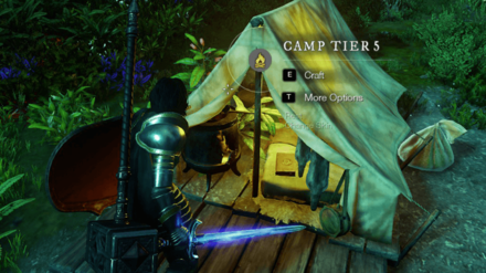 New World - Tier 5 Camp