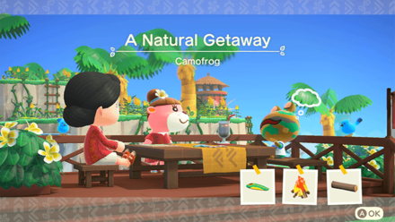 Camofrog Theme Name and Required Furniture